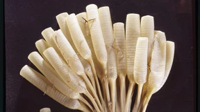 Und wo ist jetzt die Seele?