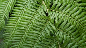 Aus dem Dunkel ans Licht