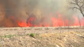 Waldbrand vernichtet Fläche von 170 Fußballfeldern