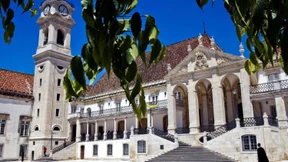 Da entsteht Harmonie