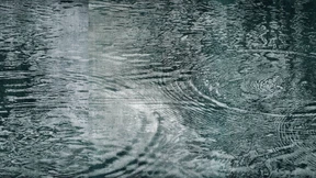 Wer hat an der Kunst gedreht?