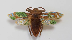 Massensterben in schön