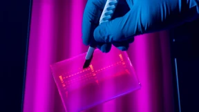 Auf zur Wissensökonomie