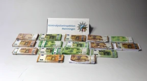 In Deutschland ist wieder mehr Falschgeld im Umlauf