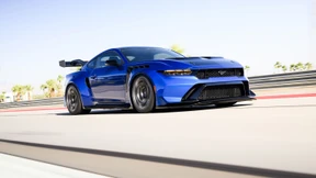 Doping für den Hengst