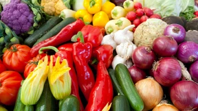 Pädagogen haben Wissenslücken bei Ernährungsfragen