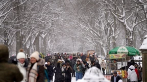 Wintersturm legt Flugverkehr lahm – viel Neuschnee im Central Park
