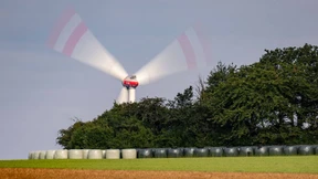 Grüne nehmen Juristen an die Leine