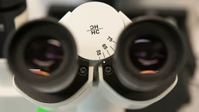 Damit Forscher Risiken besser einschätzen können