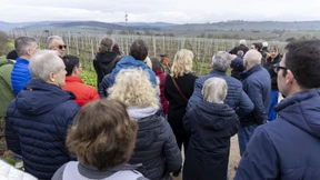 Bürgervoten mit Hindernissen