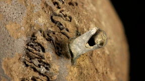 Wo der Krieg erfunden wurde