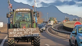 15 Gesetze für eine Hecke