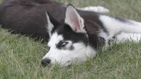 Die Sache mit der Ewigkeit