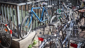 Ein Königreich für eine Stange