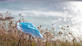 Virologe Stöhr in der Riesenwelle: „Ende der Pandemie vor Augen“