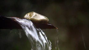 Skurril statt luxuriös