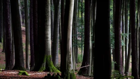 Wo das Besucherchaos ausbleiben dürfte