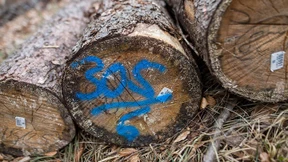 Baden-Württemberg vor Gericht