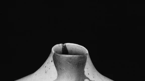 Meine Sprache wird nie wieder dieselbe sein