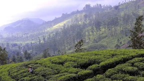 Im Bann von Pfeffer, Zimt und Kardamom