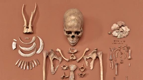 Die rätselhafte Seelenreisende von der Saale