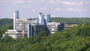 Und wer macht die Gartenarbeit?