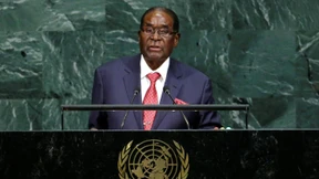 Vom Bücherwurm zum Gewaltfanatiker