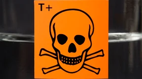 Cyber-Narzissmus: Der Fall weev