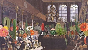 Grün ist die Hoffnung