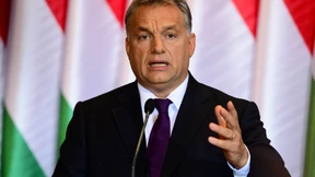 Mit dem Kopf durch den Zaun