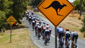 Radprofis kollidieren mit Kängurus bei Tour Down Under