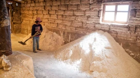 Bolivien erlaubt Kinderarbeit ab zehn Jahren