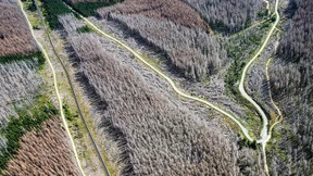 Eine Dekade der Temperaturrekorde