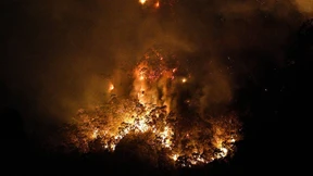 Bereits Zwei Millionen Hektar verbrannt