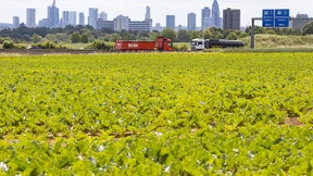 Supergreen, Demonstratiönchen, Reich-Ranicki