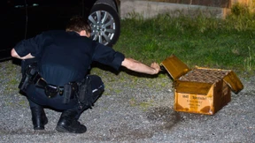 Mann stirbt beim Zünden von Feuerwerk