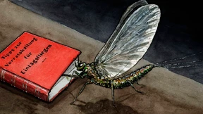 In der Verantwortung