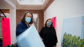 Architekten mögen keine begrünten Gebäude