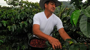 Dieser Kaffee bedeutet ein faires  Einkommen für 100.000 Bauern