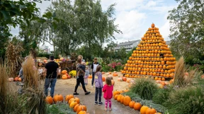 Ausflugstipps, die Lust auf den Herbst machen