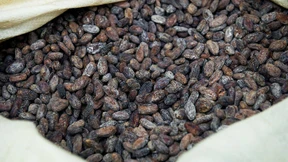 Was gute Schokolade ausmacht