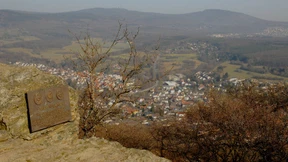 Verschwundene Mammutzähne