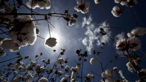 Jeanskauf ohne schlechtes Gewissen