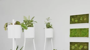 Ökorevoluzzer mit viel Hebel