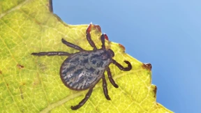 „Das Risiko hat sich stark erhöht“