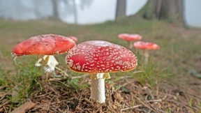 Ist die Stimmung hier vergiftet?