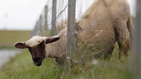 With a little help from PC