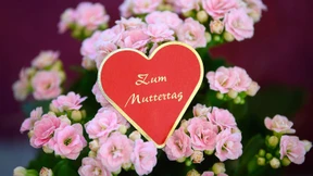 Liebe Eltern, wir können stolz auf uns sein