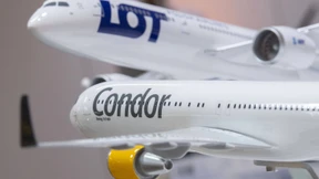 Condor, Kirsche, Corona