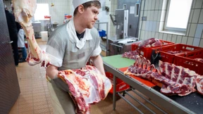 Junge Menschen werden lieber Tierpfleger als Metzger